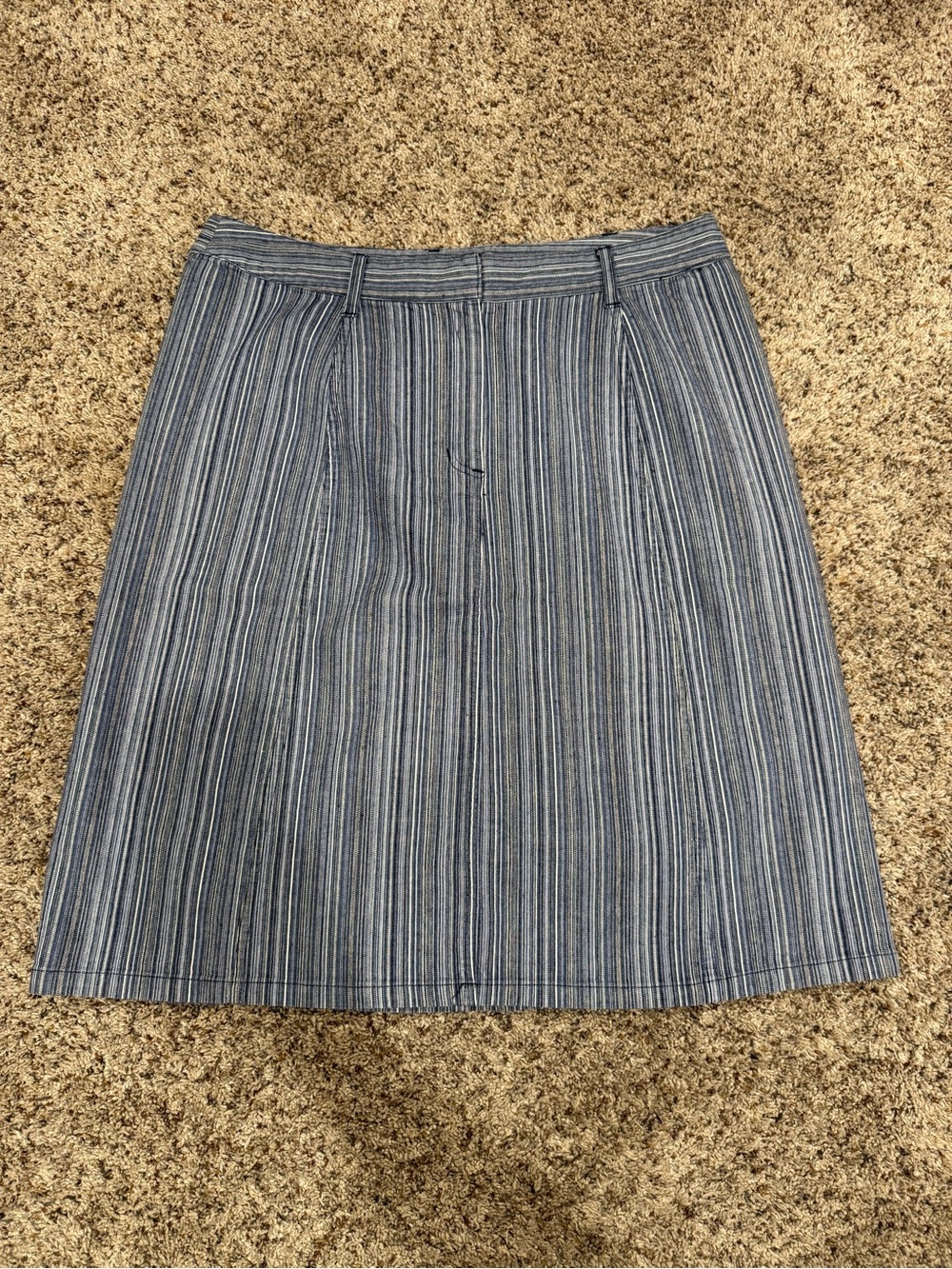 Christopher & Banks Blue Striped A-Line Skirt